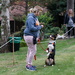 Dog agility at the Hospice by phil_howcroft