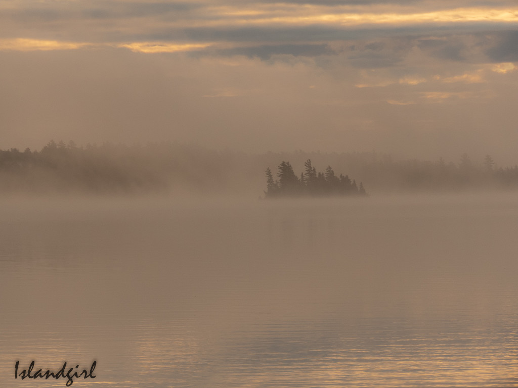 Foggy Paddle by radiogirl