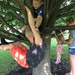Fun In The Tree by bjchipman