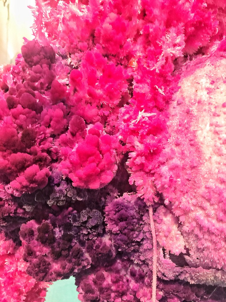 Pink cristallisation.  by cocobella