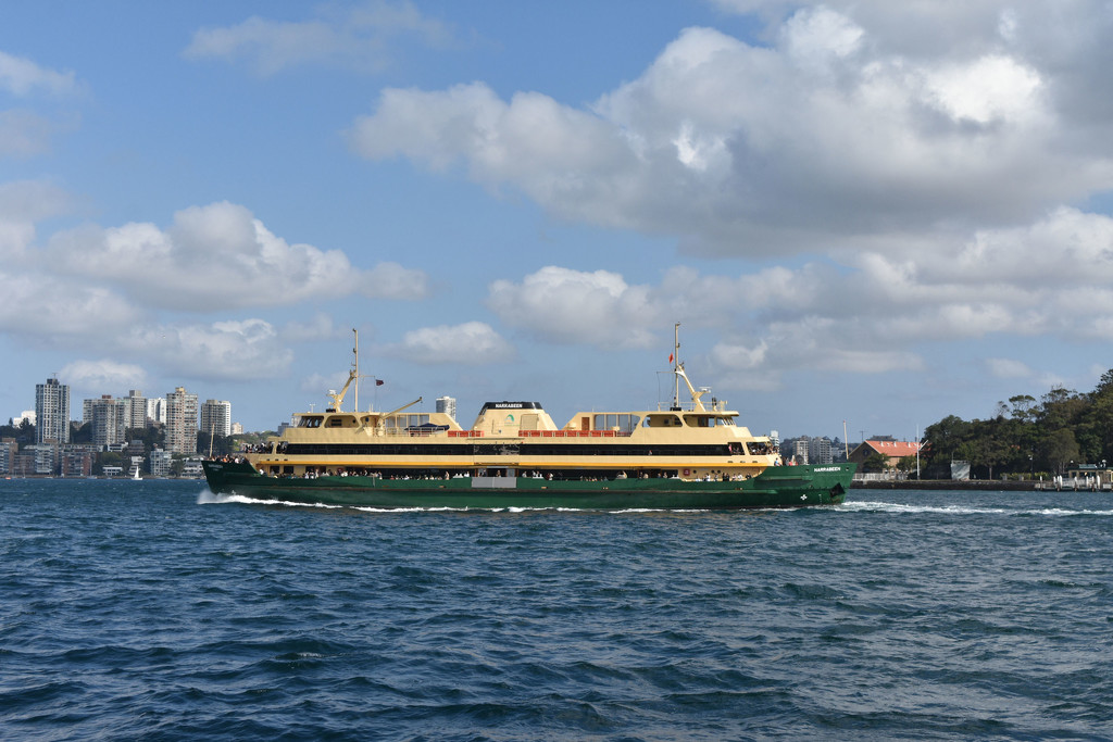 NF-SOOC-2018 -29 Manly Ferry - "Narrabeen" by annied