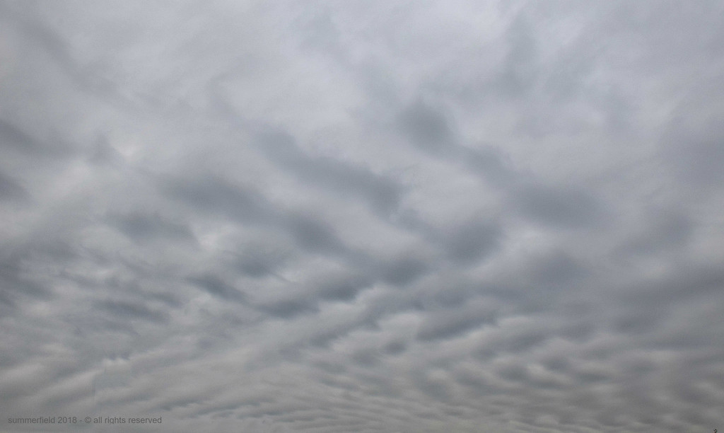 lattice clouds by summerfield