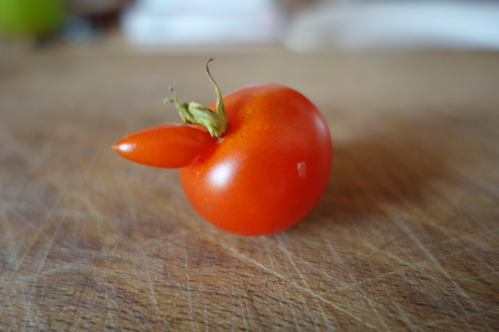 Mr Tomato by brennieb