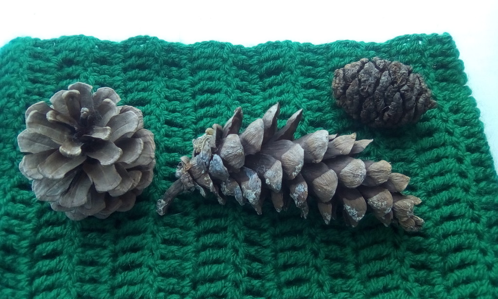 Three fir cones on green crochet. by grace55