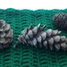 Three fir cones on green crochet. by grace55