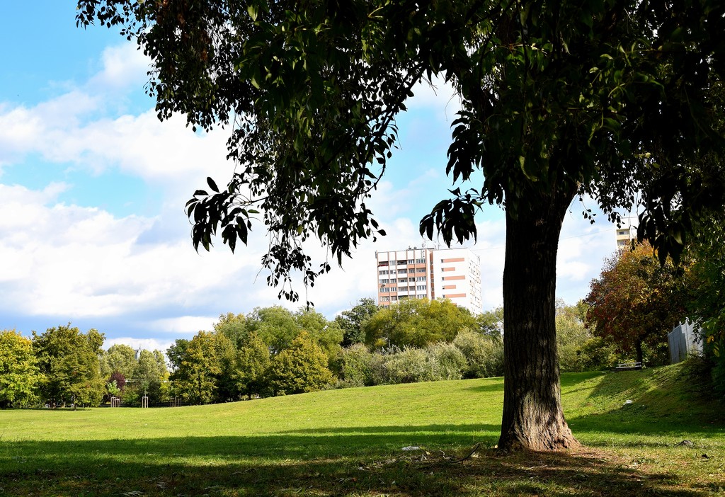 Block of flats view of the park by kork