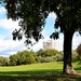 Block of flats view of the park by kork