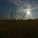 sunburst prairie landscape by rminer