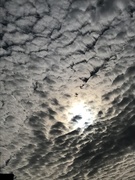 3rd Oct 2018 - 1003clouds