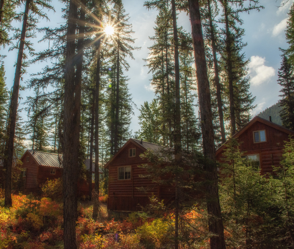 Little Cabins in the Woods by 365karly1