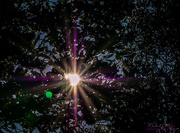 4th Oct 2018 - Double Sunflare (Best viewed on black)