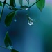 droplet by blueberry1222