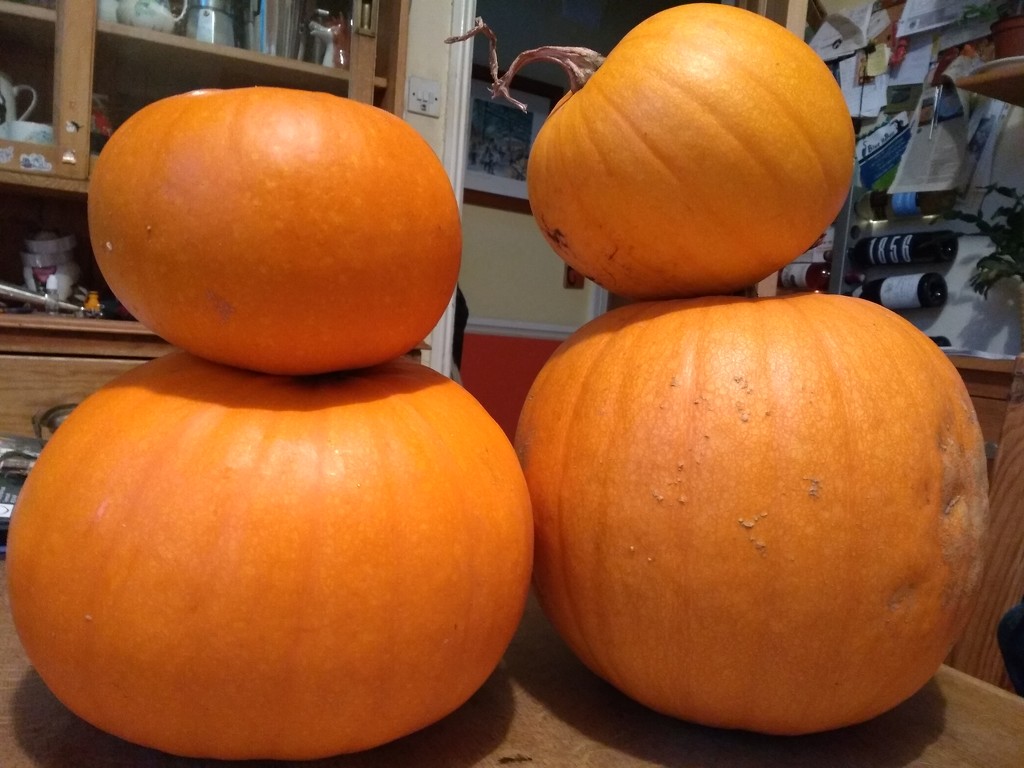 Pumpkin glut by clairemharvey