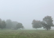 4th Oct 2018 - Fall Fog