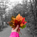 Autumn colours by novab