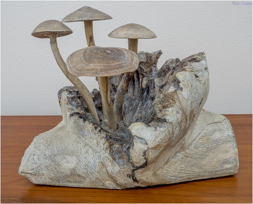 Wooden Mushrooms by pcoulson
