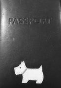 8th Sep 2018 - Passport.....