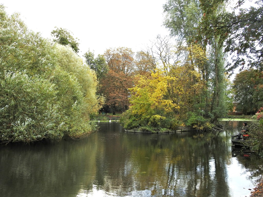 Autumn in Veron Park by oldjosh