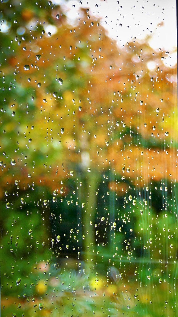 Rainy Day by carole_sandford