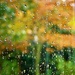 Rainy Day by carole_sandford