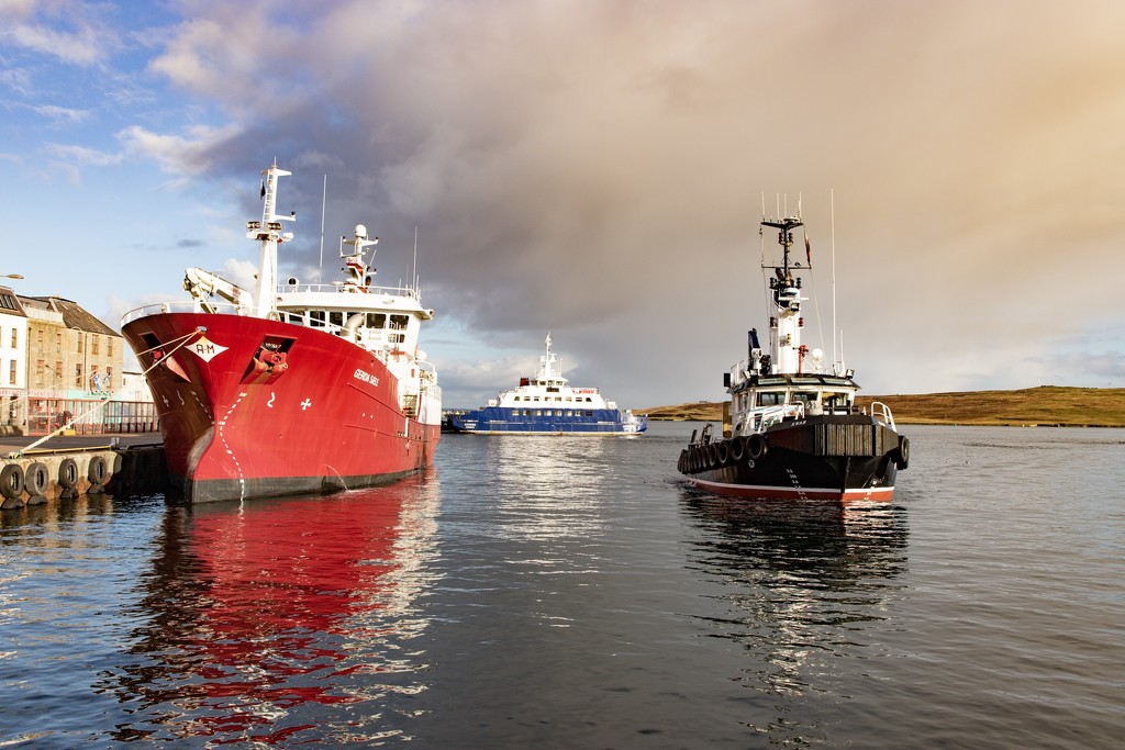 Harbour Activity by lifeat60degrees