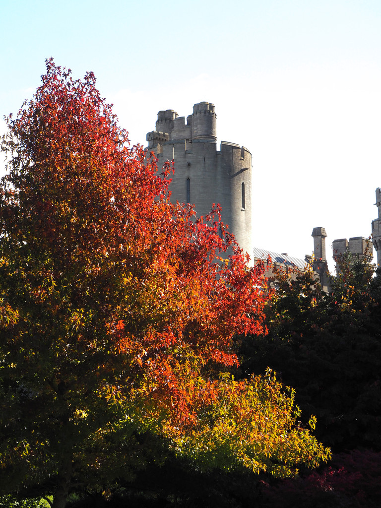 Autumn colour at Arundel Castle by josiegilbert