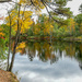 Fall reflections  by joansmor