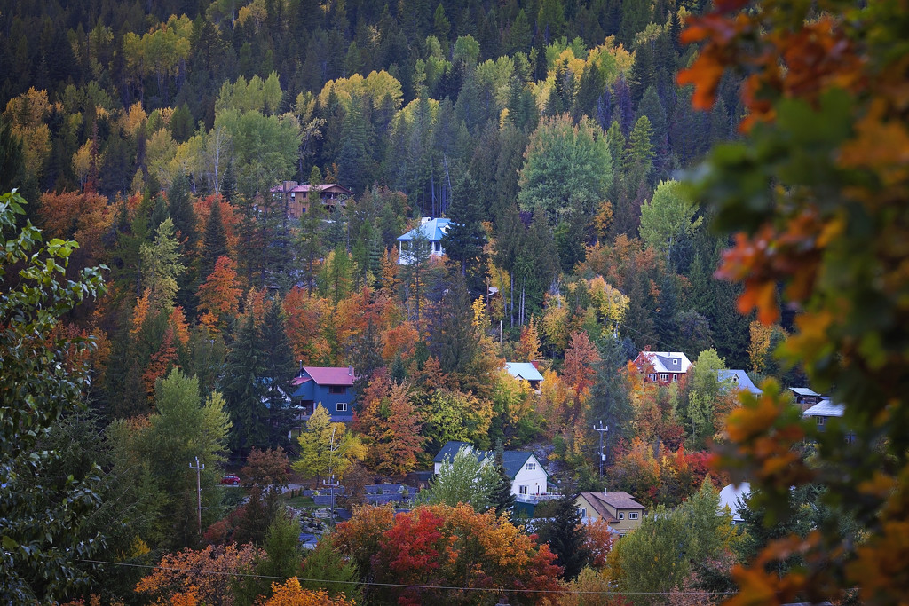 Autumn snapshot by kiwichick
