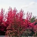Colours of Autumn! by bigmxx