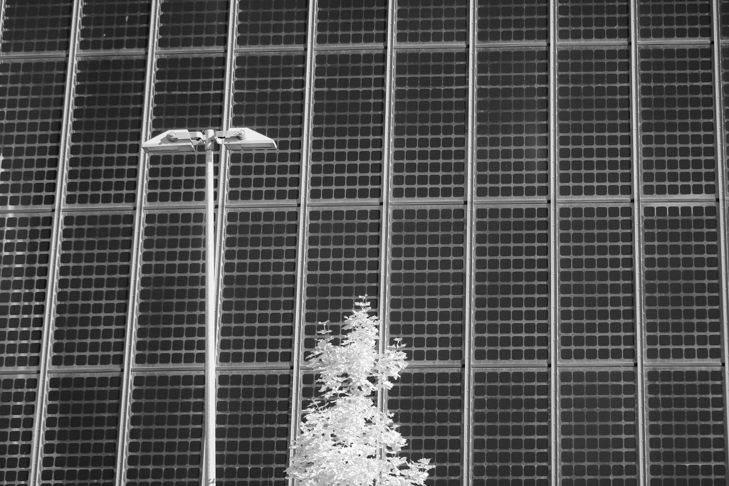 Solar panels by toinette
