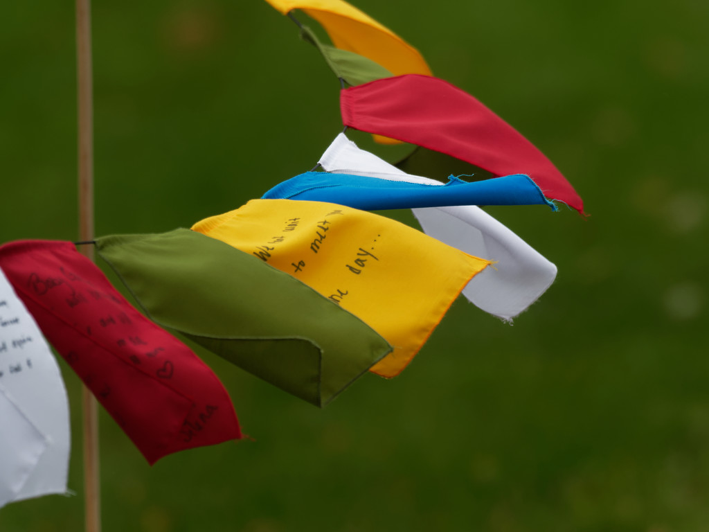 prayer flags  by rminer