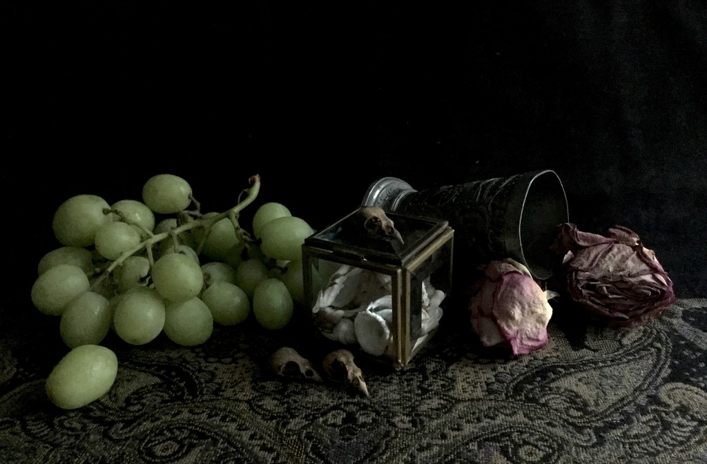 Still life with grapes by mcsiegle