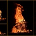  The Burning Bull _DSC8831 by merrelyn