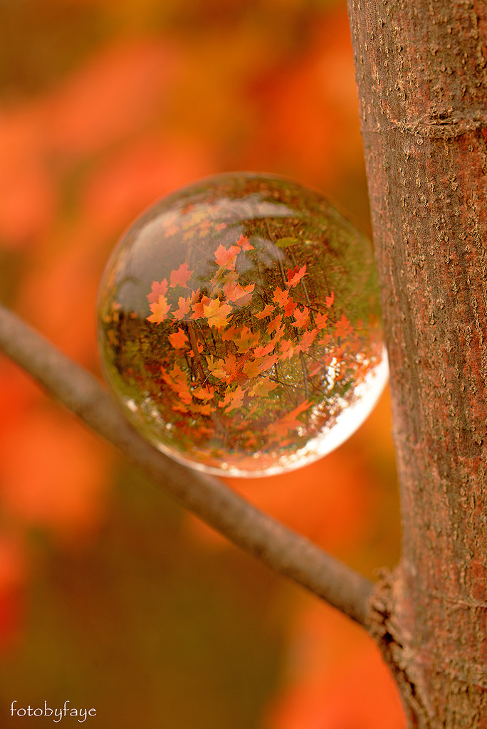 Look into my crystal ball and you'll see fall! by fayefaye