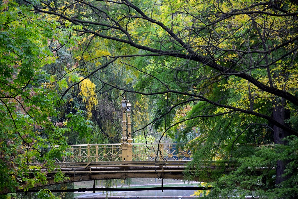 Bridge in the park by kork