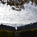 Place des Vosges  by parisouailleurs