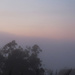 Sunrise through the fog by koalagardens