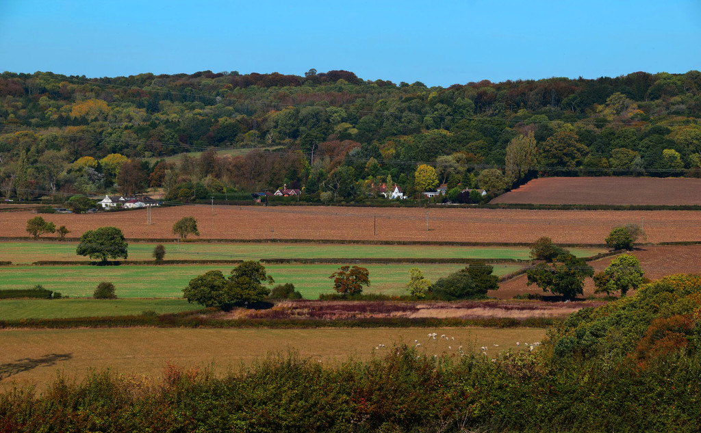 local landscape 5 by ianmetcalfe