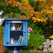 Little Library  by gq