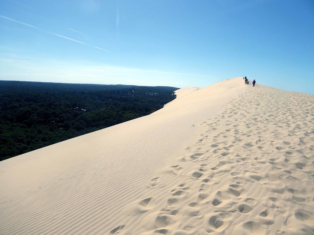 Largest sand dune in Europe by cmp