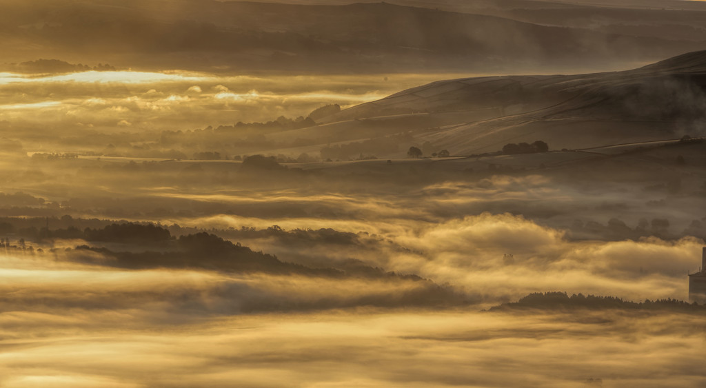 Misty Morn by shepherdmanswife