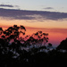 Sunrise colours by koalagardens