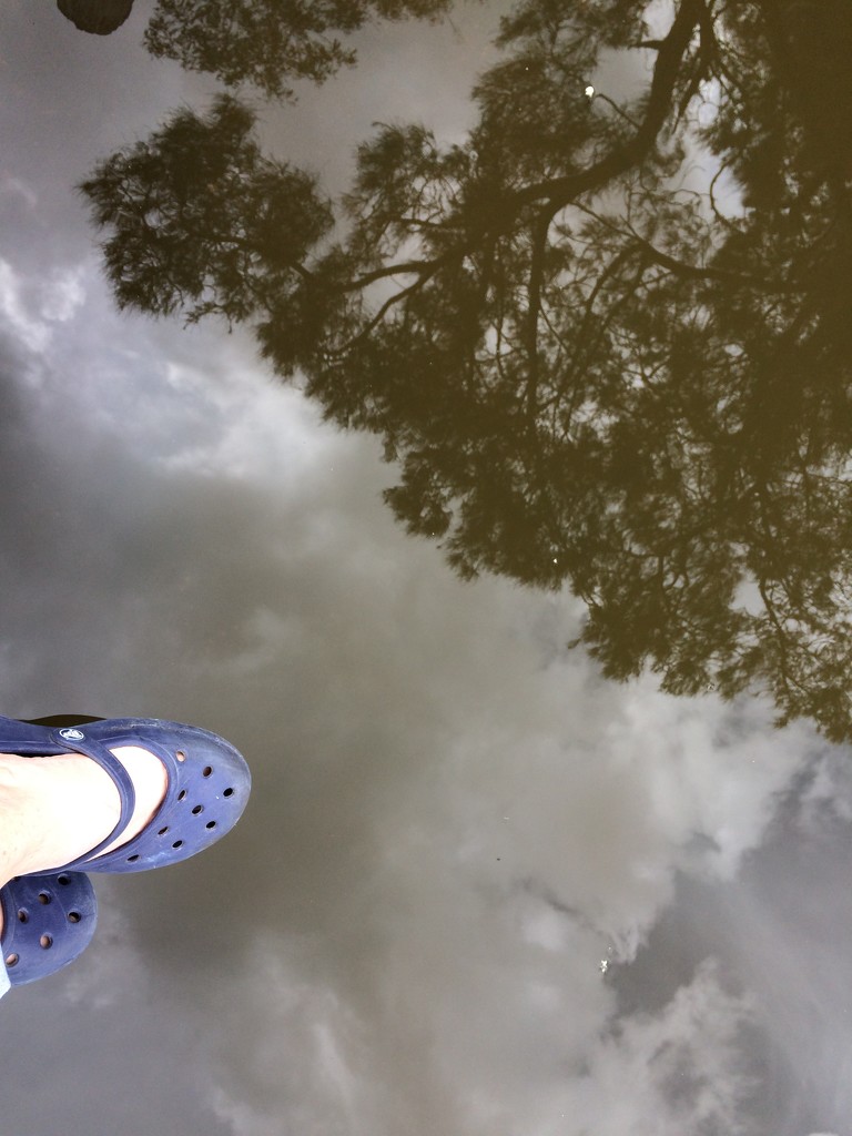Feet in the Clouds by narayani