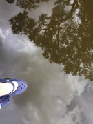 11th Oct 2018 - Feet in the Clouds