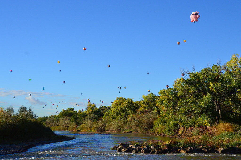 Hot Air Balloons Along The River by bigdad