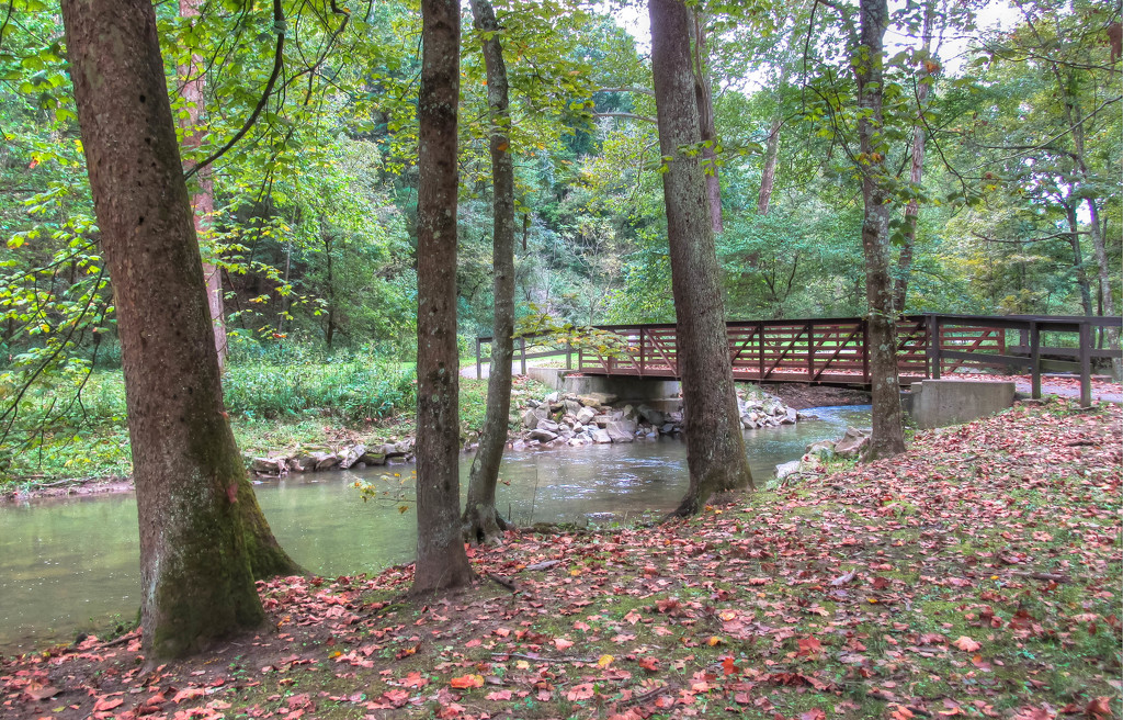 Bridge across the creek by mittens