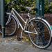 Scruffy Bicycle  by pcoulson