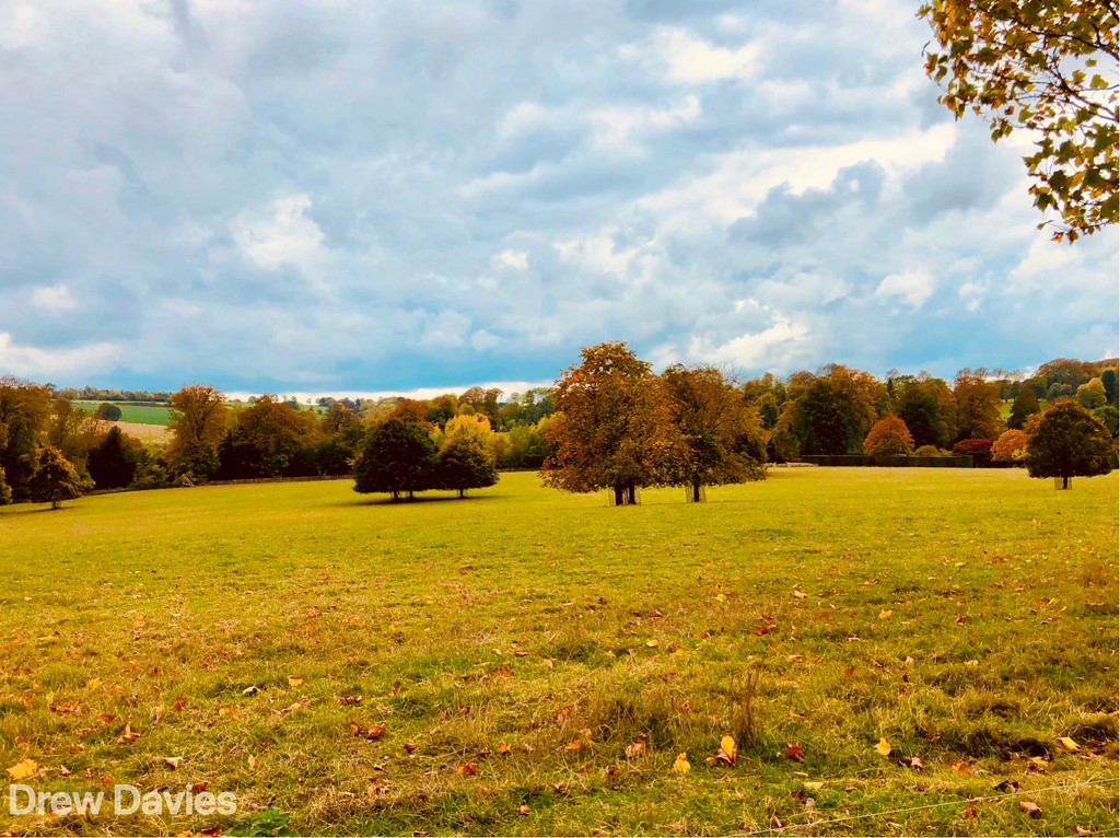 Autumn parkland  by 365projectdrewpdavies