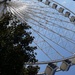 Downtown Ferris wheel, Atlanta by swagman