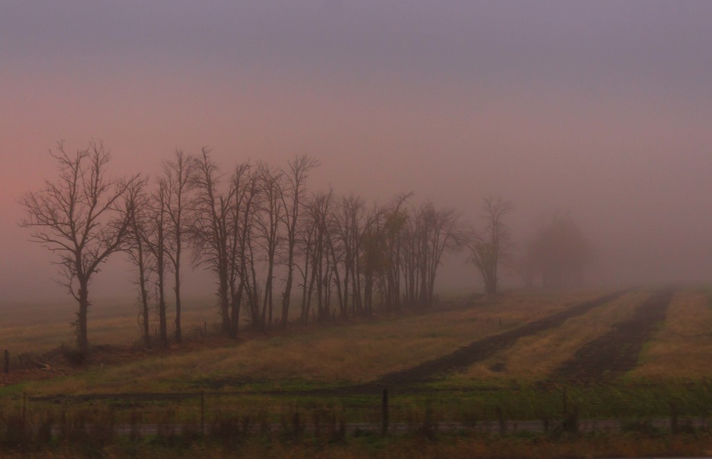 heavy fog by adi314